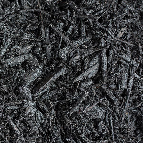 Close-up of premium black dyed mulch