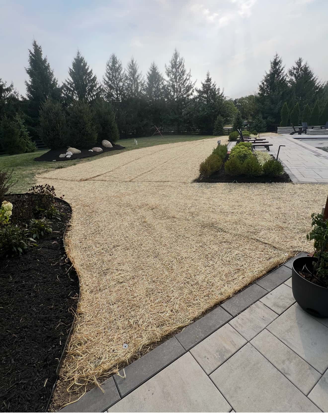 Commercial entrance drive with fresh mulch beds and planted islands