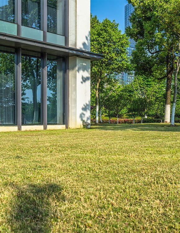 Healthy green lawn and trees beside a glass office building