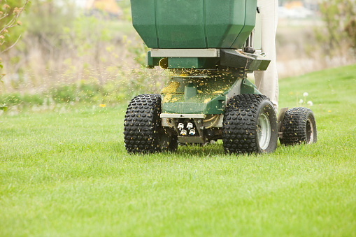 Ride-on spreader applying fertilizer to a residential lawn