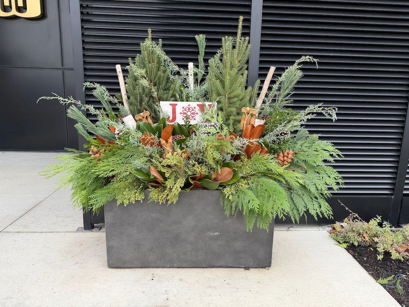 Spring planter at a commercial building entrance