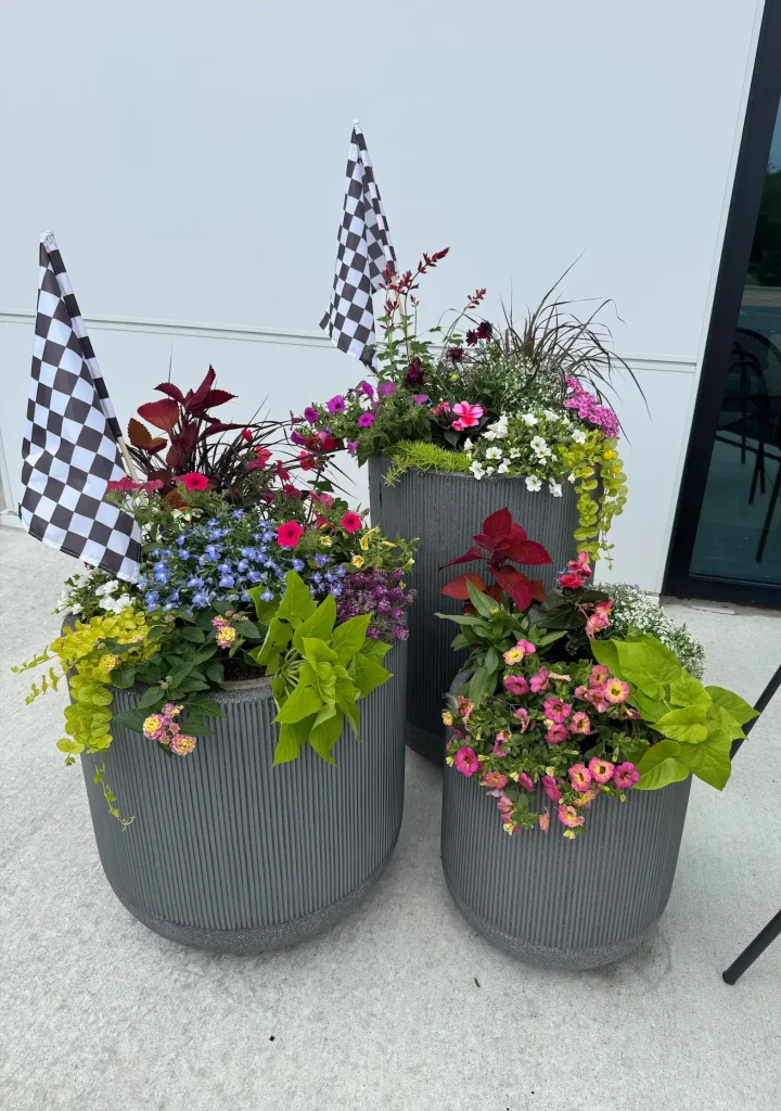 Seasonal flower planters with checkered flags at a commercial entrance