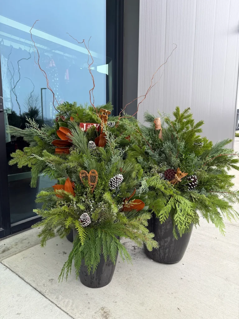 Winter planters with evergreens and berries beside glass doors