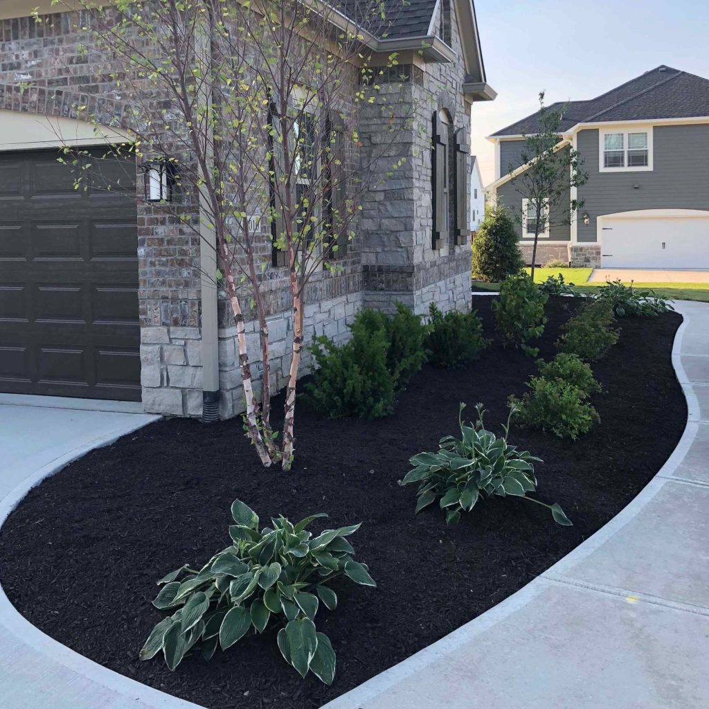 Curved black mulch bed with hostas beside a stone home