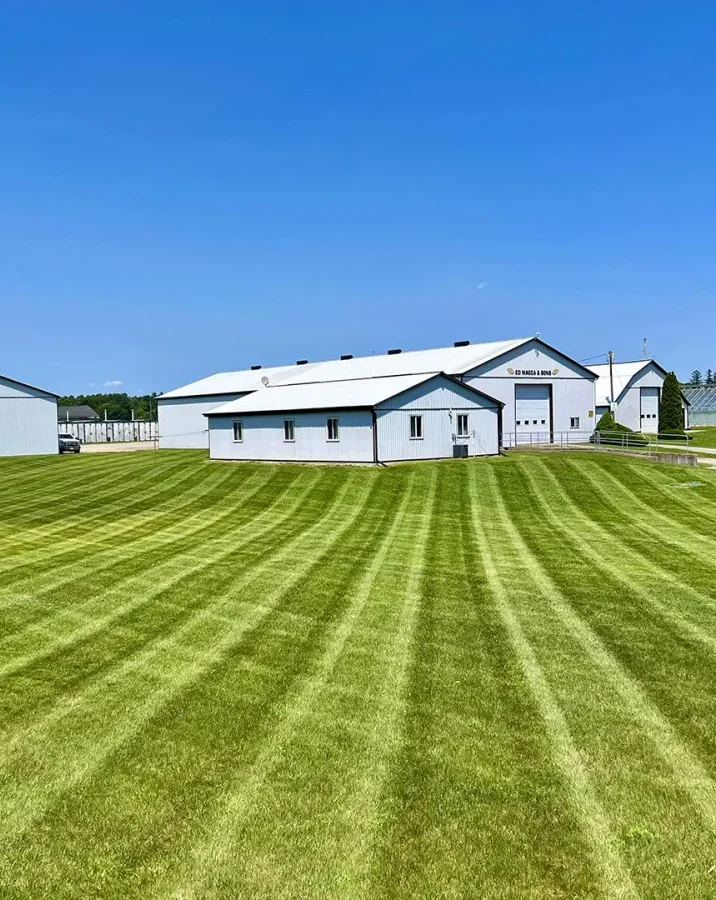 Wide striped lawn leading up to a white commercial building