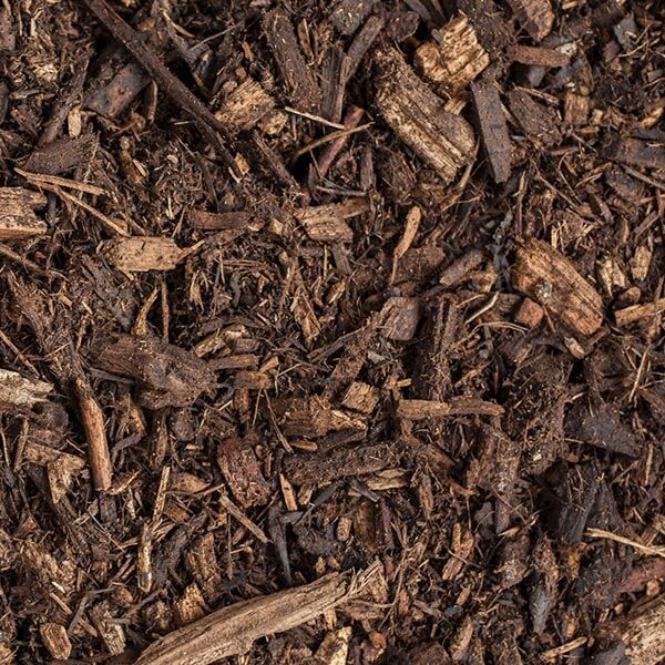 Economy Blend