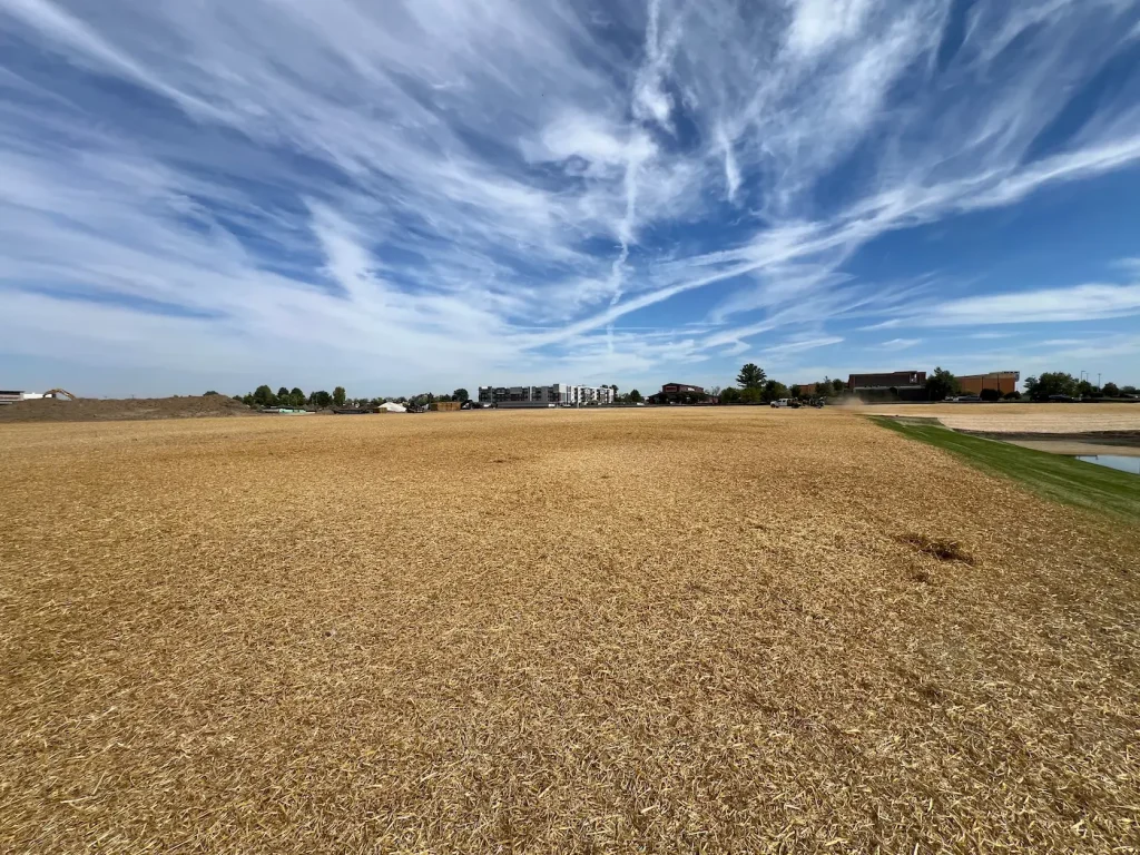 Seed and straw being blown over a graded site