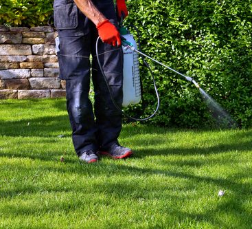 Earth and Turf technician spraying weeds along a lawn edge